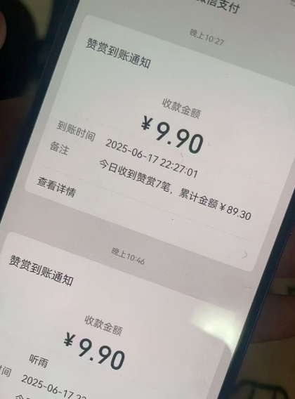 二次元男粉快速变现项目，私域卖虚拟产品，百分利润-升阶有道