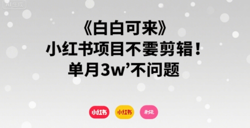 小白可来 小红书项目不需要剪辑 单月3w不是问题-升阶有道