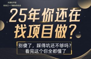 25年,你还在疯狂的找项目吗?别傻了,看完这个你都懂了【揭秘】-升阶有道
