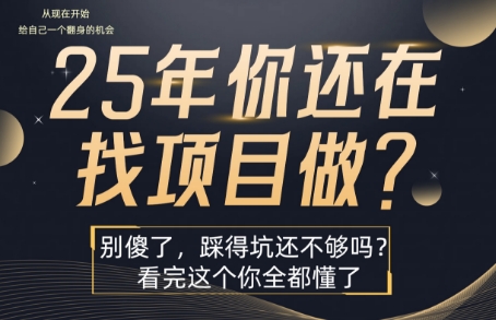 25年，你还在疯狂的找项目吗？别傻了，看完这个你都懂了【揭秘】-升阶有道