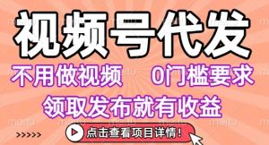 视频号代发,不用剪辑不用做视频,0门槛要求,领取发布就有收益,任务没有无上限,小白轻松上手【揭秘】-升阶有道