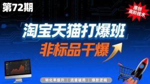 淘宝天猫打爆班原创高阶技术第72期,非标品干爆-升阶有道