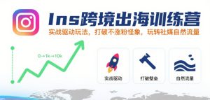 Ins跨境出海训练营，实战驱动玩法，打破不涨粉怪象，玩转社媒自然流量-升阶有道