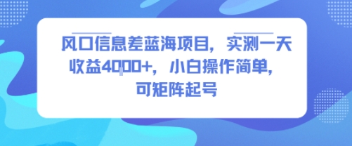 风口信息差蓝海项目，实测一天收益4k+，小白操作简单，可矩阵起号-升阶有道