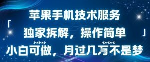 苹果手机技术服务,独家拆解,操作简单,小白可做,月过1W不是梦-升阶有道