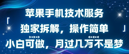 苹果手机技术服务，独家拆解，操作简单，小白可做，月过1W不是梦-升阶有道