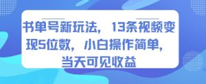 书单号新玩法,13条视频变现5位数,小白操作简单,当天可见收益-升阶有道