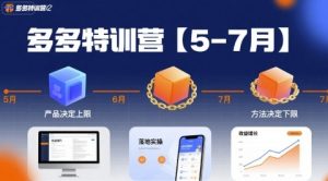 多多特训营【5-7月】产品决定上限,方法决定下限,各种玩法技巧落地实操-升阶有道