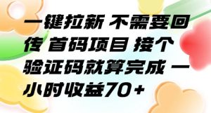 一键拉新 不需要回传 首码项目 接个验证码就算完成 一小时收益70+【揭秘】-升阶有道
