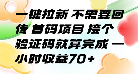 一键拉新 不需要回传 首码项目 接个验证码就算完成 一小时收益70+【揭秘】-升阶有道