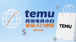 temu跨境电商小白基础入门课程,新手必看-升阶有道