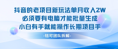 老项目新玩法单月收入2W小白有手就能操作长期项目-升阶有道