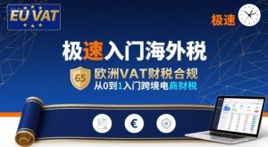 极速入门海外税,欧洲VAT财税合规,从0到1入门跨境电商财税-升阶有道