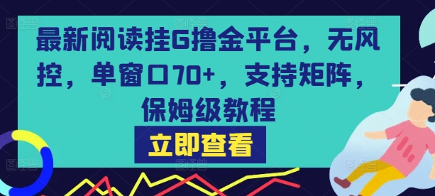 最新阅读挂G撸金平台，无风控，单窗口70+，支持矩阵，保姆级教程【揭秘】-升阶有道