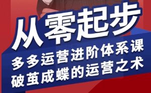 拼多多运营进阶系统课，从零起步，多多运营进阶体系课，破茧成蝶的运营之术-升阶有道