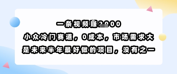一条视频挣1k，小众冷门赛道，0成本，市场需求大，是未来半年最好做的项目，没有之一-升阶有道