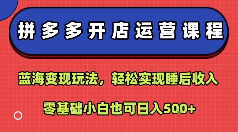 拼多多开店运营课程：蓝海变现玩法，轻松实现睡后收入，零基础小白也可日入5张-升阶有道