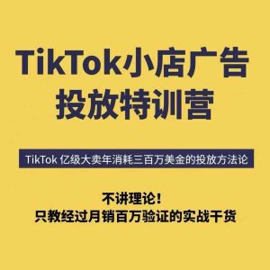 TikTok小店广告投放特训营,6天破局计划专治各种“投不动”,教你经过月销百万验证的实战干货-升阶有道