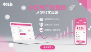 小红书广告投放从0到1的实战课，学完即可开始投放，拒绝无效广告消耗-升阶有道