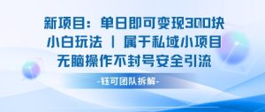 新项目单日即可变现3张的小白玩法无脑操作不封号安全引流-升阶有道