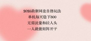 2025最新网盘自撸玩法,单机每天稳下3张,无需流量和拉人头,一个人就可轻松矩阵,全网独一份【揭秘】-升阶有道