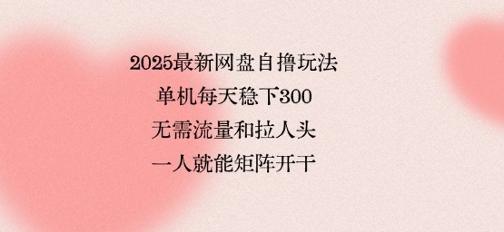 2025最新网盘自撸玩法，单机每天稳下3张，无需流量和拉人头，一个人就可轻松矩阵，全网独一份【揭秘】-升阶有道