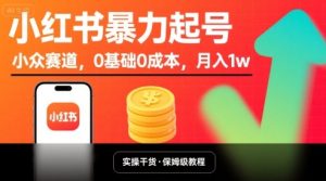小红书暴力起号,小众赛道,0基础0成本,月入1w-升阶有道