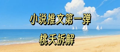 小说推文项目操作全流程第一弹，0粉就能做，门槛低非常适合新手-升阶有道