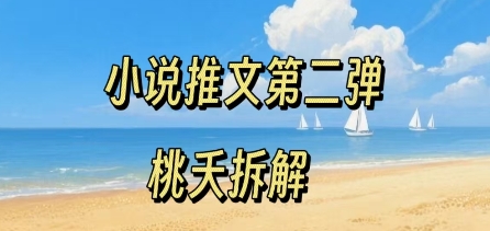 小说推文项目操作全流程第二弹，0粉就能做，门槛低非常适合新手-升阶有道