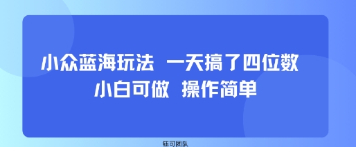 小众蓝海玩法 一天搞了四位数 小白可做 操作简单-升阶有道
