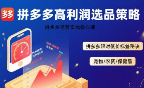 拼多多选品暴利技术实战课，拼多多高利润选品策略，拼多多限时低价标签秘诀-升阶有道