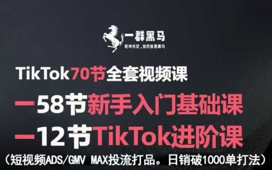 TikTok全套视频课，新手入门+进阶课，短视频ADS-GMV MAX投流打品，日销破1000单打法-升阶有道
