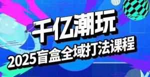 2025盲盒全域全套打法课,盲盒起号、选品、话术、私域等-升阶有道