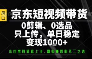 你出账号,我来运营,保底日入1k+,开启躺賺模式【揭秘】-升阶有道