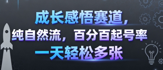 成长感悟赛道，纯自然流，百分百起号率 一天轻松多张-升阶有道