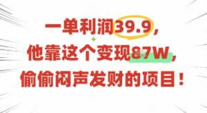 一单利润39.9,有人靠这个变现几十个,偷偷闷声发财的项目-升阶有道