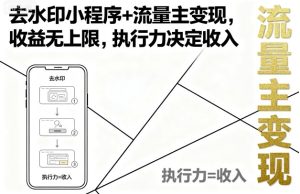 去水印小程序+流量主变现,收益无上限,执行力决定收入-升阶有道