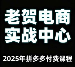 老贺电商2025年拼多多付费课程,用通俗易懂的方法告诉你多多怎么玩-升阶有道