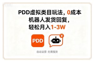 PDD虚拟类目玩法,0成本,机器人发货回复,轻松月入1-3W-升阶有道