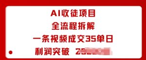 AI收徒项目全流程拆解一条视频成交35单日利润突破1k+-升阶有道