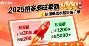 2025拼多多旺季新老店铺——快速低成本起量破千单-升阶有道