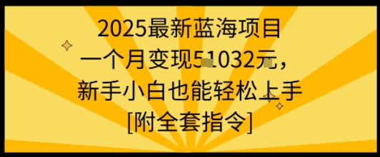 2025最新蓝海项目一个月变现1w+新手小白也能轻松上手【附全套指令】-升阶有道