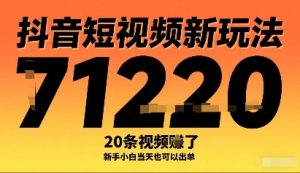 抖音短视频新玩法,20条视频挣了1w+,新手小白当天也可以出单-升阶有道