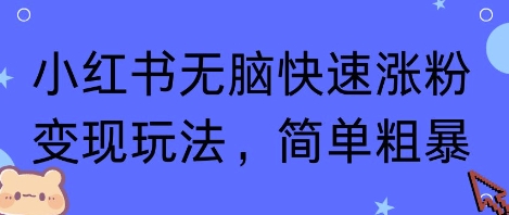 小红书无脑快速涨粉变现玩法，简单粗暴-升阶有道