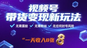 视频号带货变现新玩法,无需露脸,无需粉丝,无任何封号风险,一天收益8张【揭秘】-升阶有道
