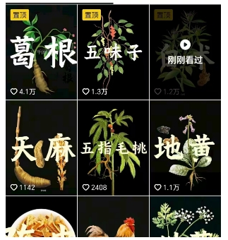 抖音中草药赛道，用AI做中草药故事视频，45条作品涨粉13W，橱窗带货猛猛出单-升阶有道