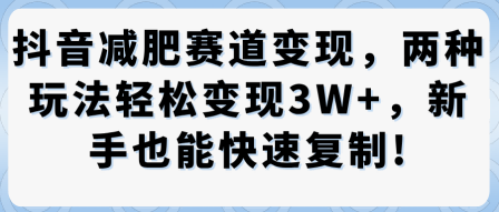 抖音减肥赛道变现，两种玩法轻松变现3W+，新手也能快速复制-升阶有道