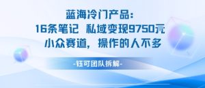 蓝海项目:16条笔记私域变现9750米小众赛道操作的人不多-升阶有道