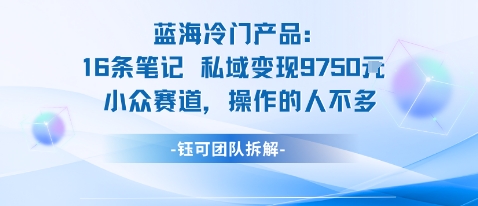 蓝海项目：16条笔记私域变现9750米小众赛道操作的人不多-升阶有道