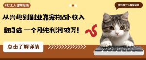从兴趣到副业靠宠物占卜收入翻3倍一个月纯利润破W-升阶有道